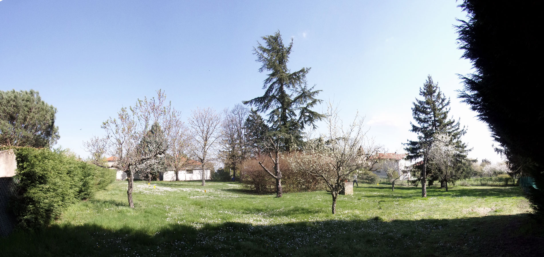 asb-architecture-maison-contemporaine-toiture-terrasse-contexte