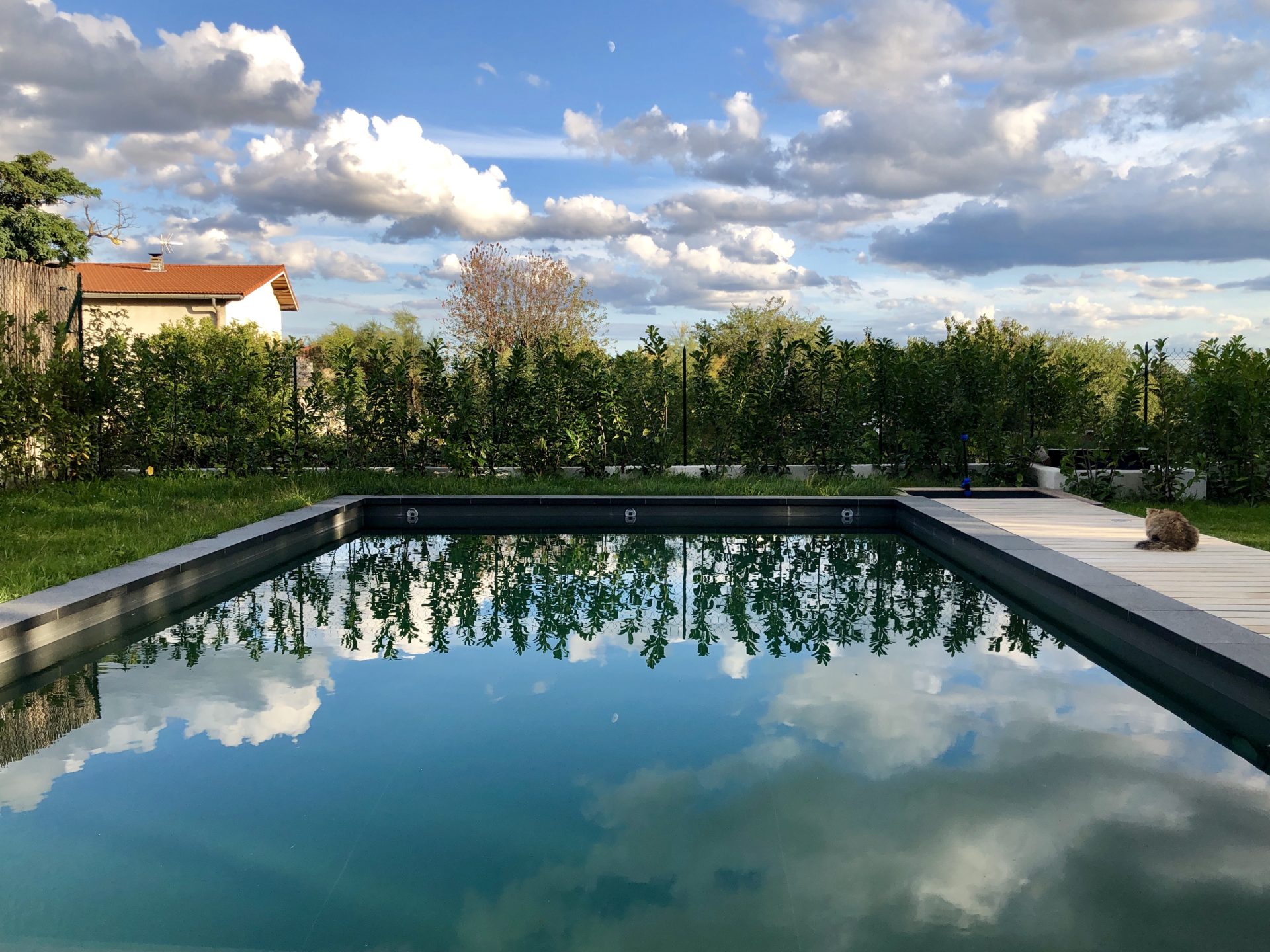 asb-architecture-maison-contemporaine-toiture-terrasse-piscine bassin