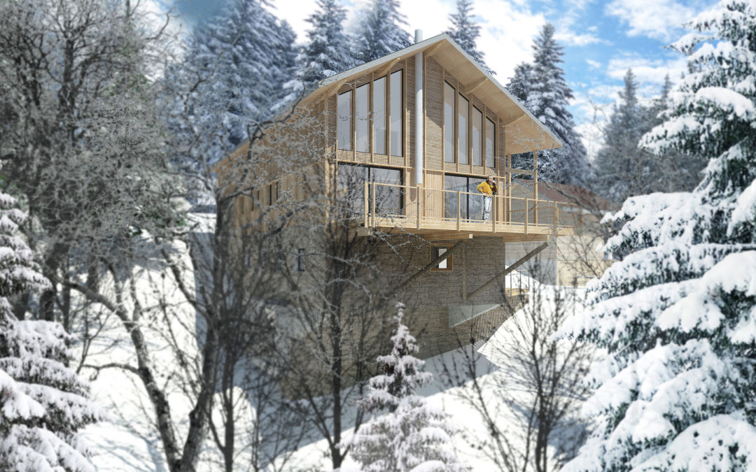 Chalet contemporain