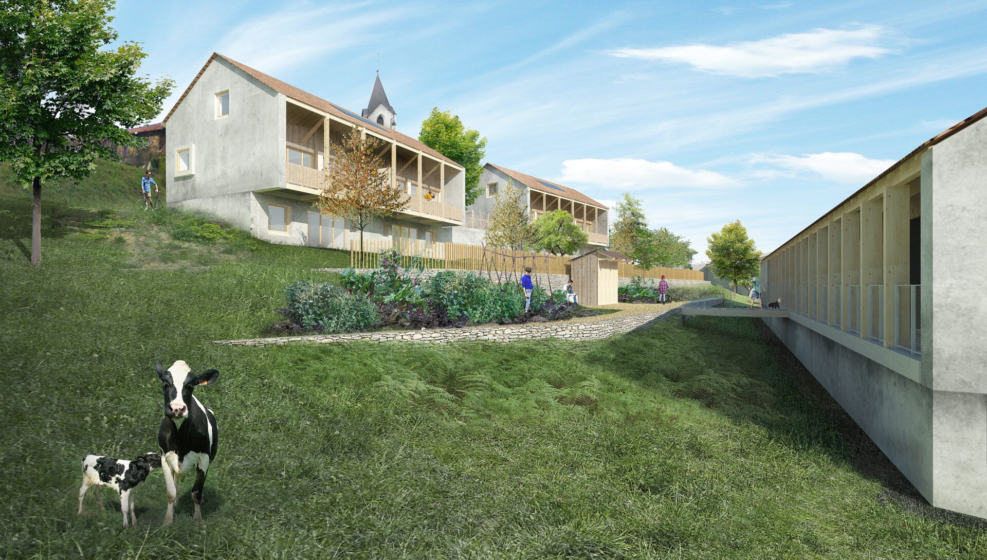 La Chapelle blanche est un village perché sur une butte surplombant la vallée de la Rochette. Le centre-bourg ancien est organisé autour de l’église, et de son clocher qui agit comme un repère visuel en addition des massifs montagneux de ce paysge rural en cours d’urbanisation. Des zones proches du centre ayant été mal plannifiées, avec l’apparition de lotissements hétérogènes aux constructions sans charme et sans référence aux constructions locales, une OAP a été réalisée pour la parcelle sur laquel s’inscrit le projet. Le terrain en forte pente est à la croisée entre 2 typologies distinctes : la partie haute, qui fera le lien entre les édifices patrimoniaux remarquables du centre historique et les lotissements, et la partie basse, caractérisée par des constructions en longueur alignées de part et d’autre de la route départementale : le «village-rue». Le projet s’appuie sur les qualités présentes sur le site afin de renforcer les trames vertes, les cheminements piétons, les jardins potagers, en décomposant le projet en 3 parties : - 4 maisons mitoyennes assurent la transition entre le centre bourg et les quartiers résidentiels en partie haute, - un petit collectif de 8 logements intermédiaires vient poursuivre l’alignement de la ville-rue, -un maison bourgeoise ancienne est conservée, et transformée en 4 logements.